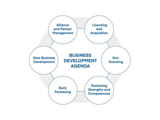 Kaavio_Business_Development_Agenda_1920x1440px-1.jpg