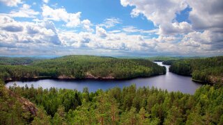 Ympäristön puolesta_biodiversiteetti.jpg